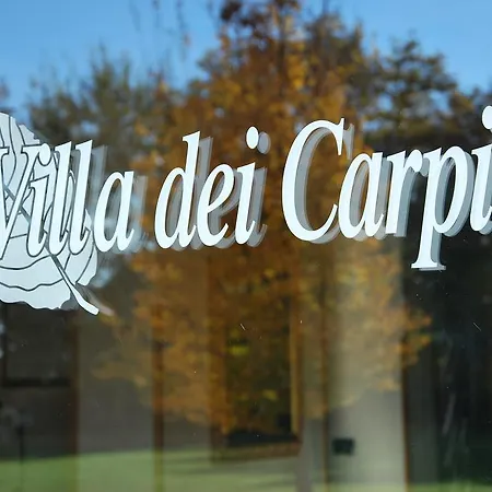 Dei Carpini فندق