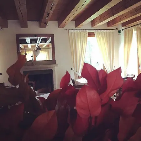 Dei Carpini 3* Oderzo