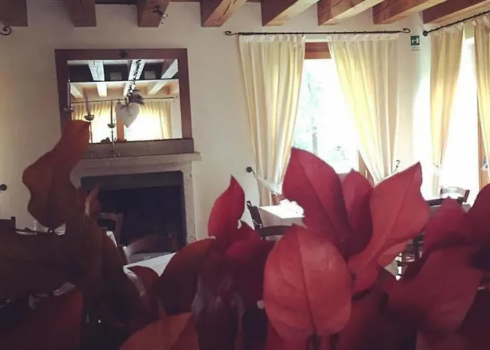 Dei Carpini 3* Oderzo